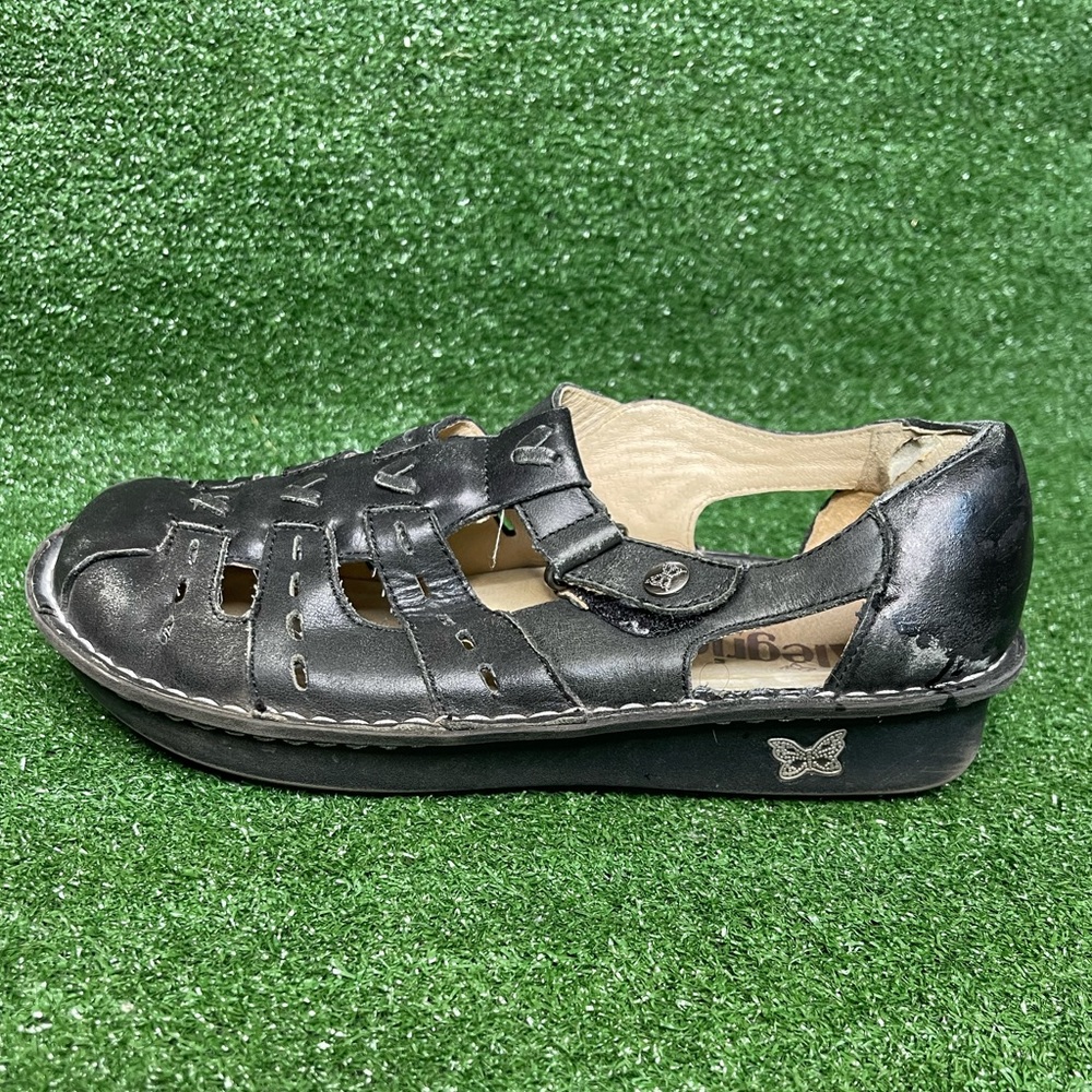 Alegria Pesca Black Magic